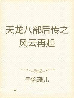 天龙八部后传之风云再起